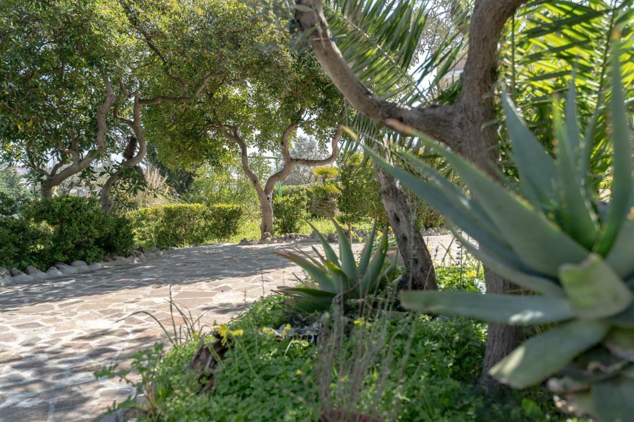 Villa Ariosa Vasto Esterno foto